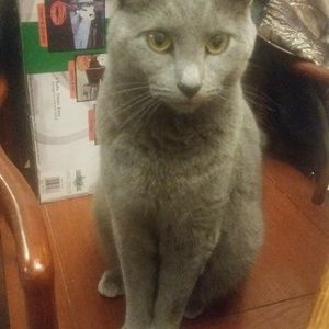 Meet your Posher, Dawn